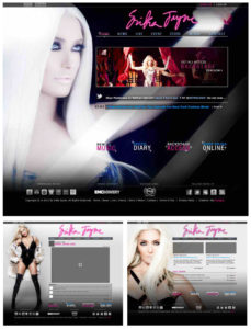 Erika Jayne Website Design