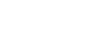 The Skull Co.