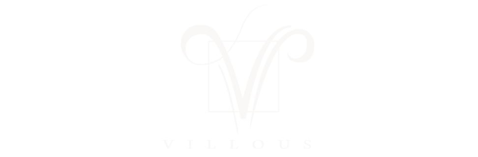 Edge Control Villous Logo Design